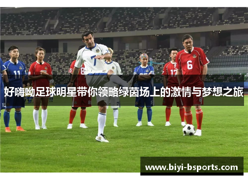 好嗨呦足球明星带你领略绿茵场上的激情与梦想之旅